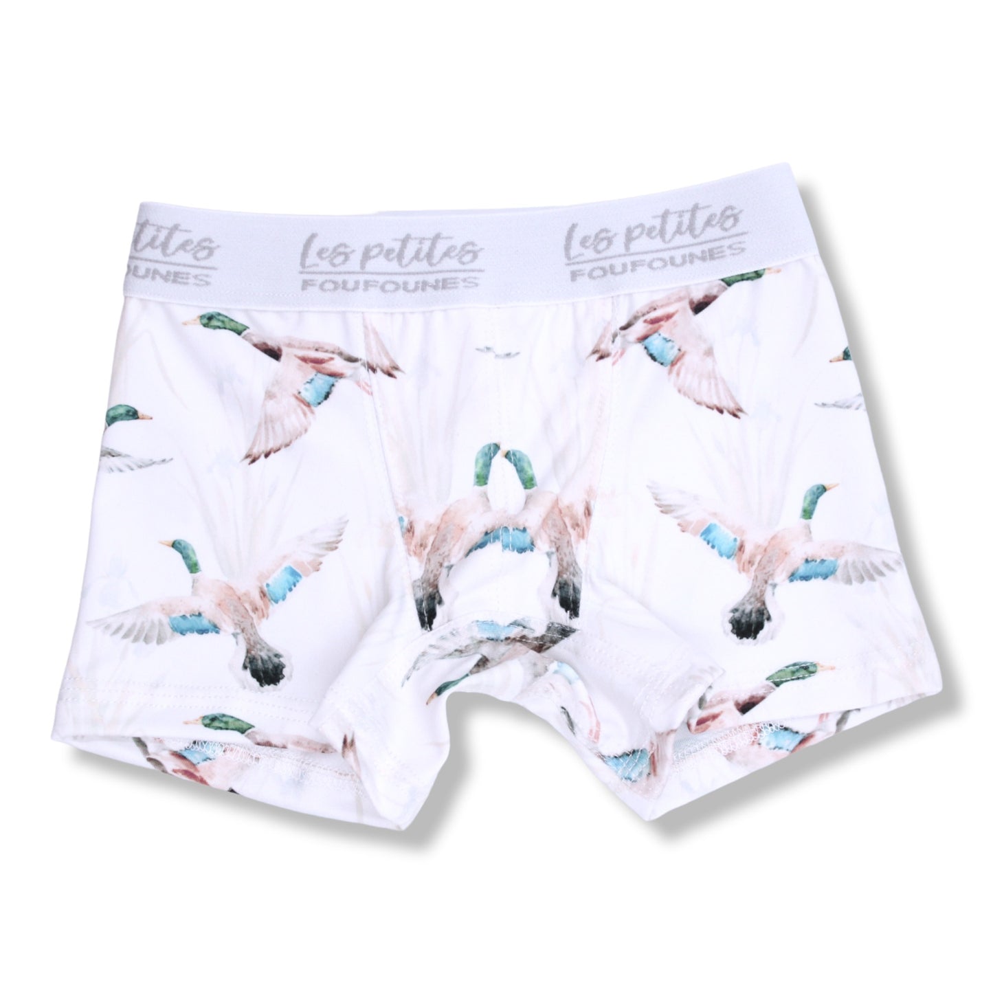 Boxer - Canards Malard