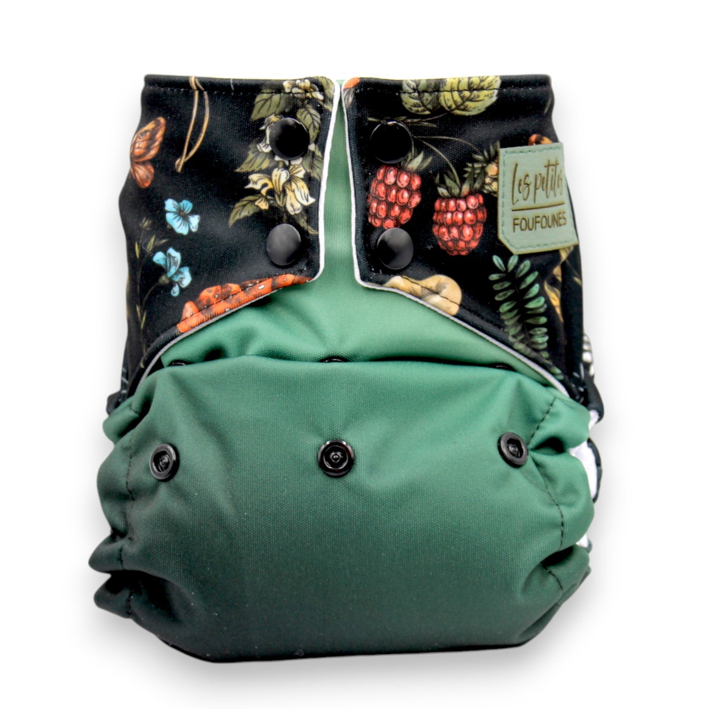 Couche - Chanterelle de nuit