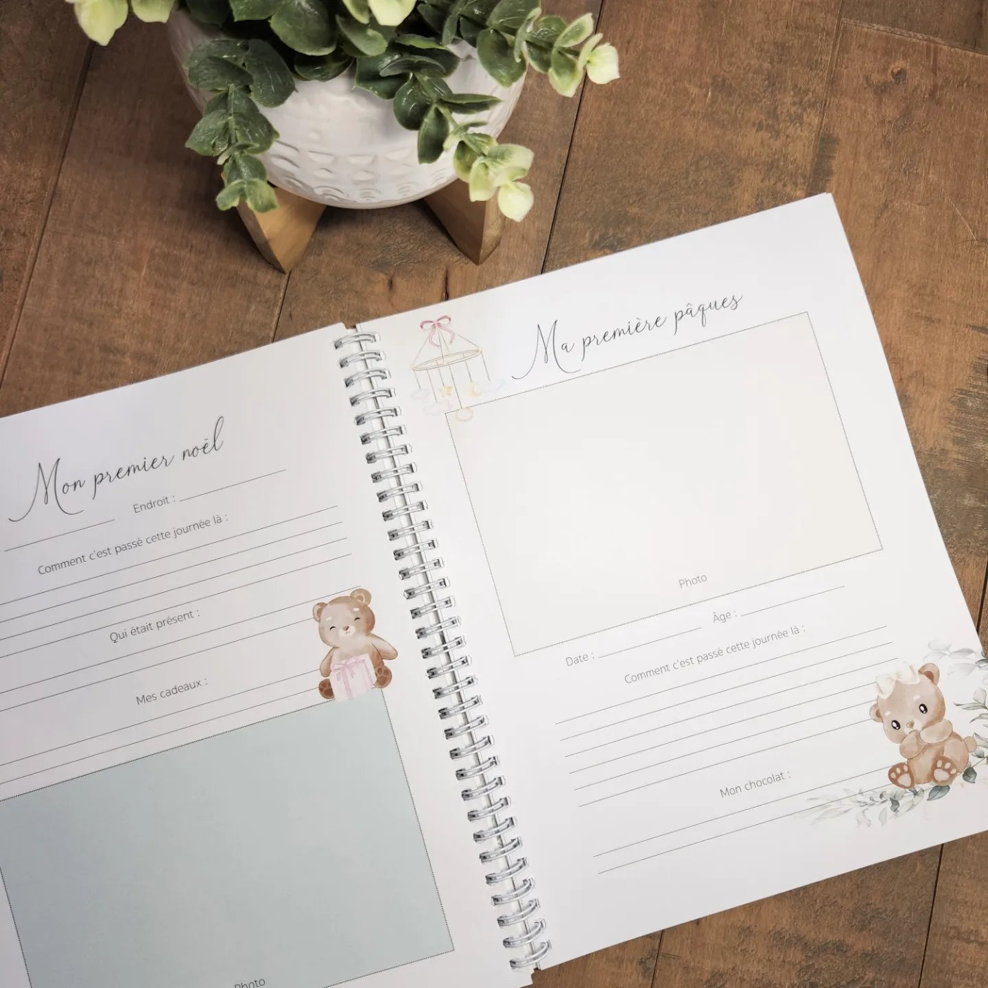 Baby's Book - Sweet Bear