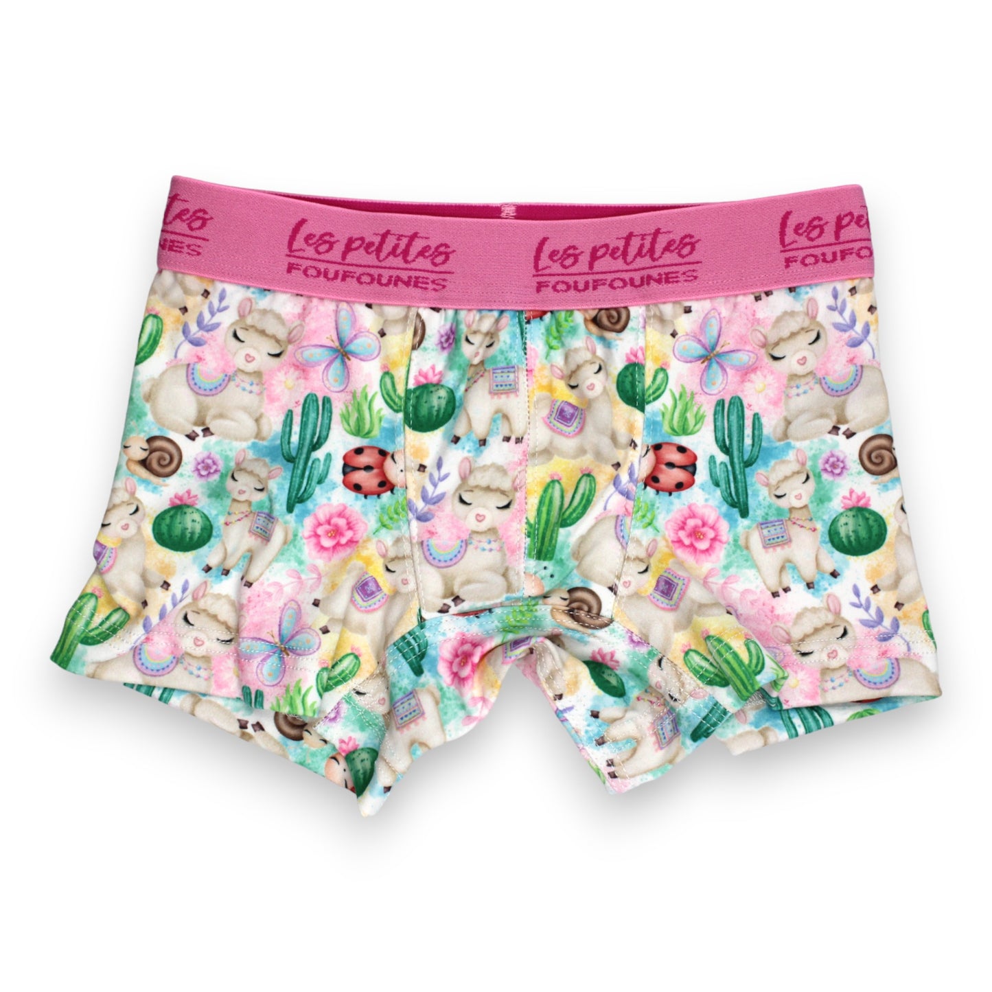 Boxer - Lama et cactus