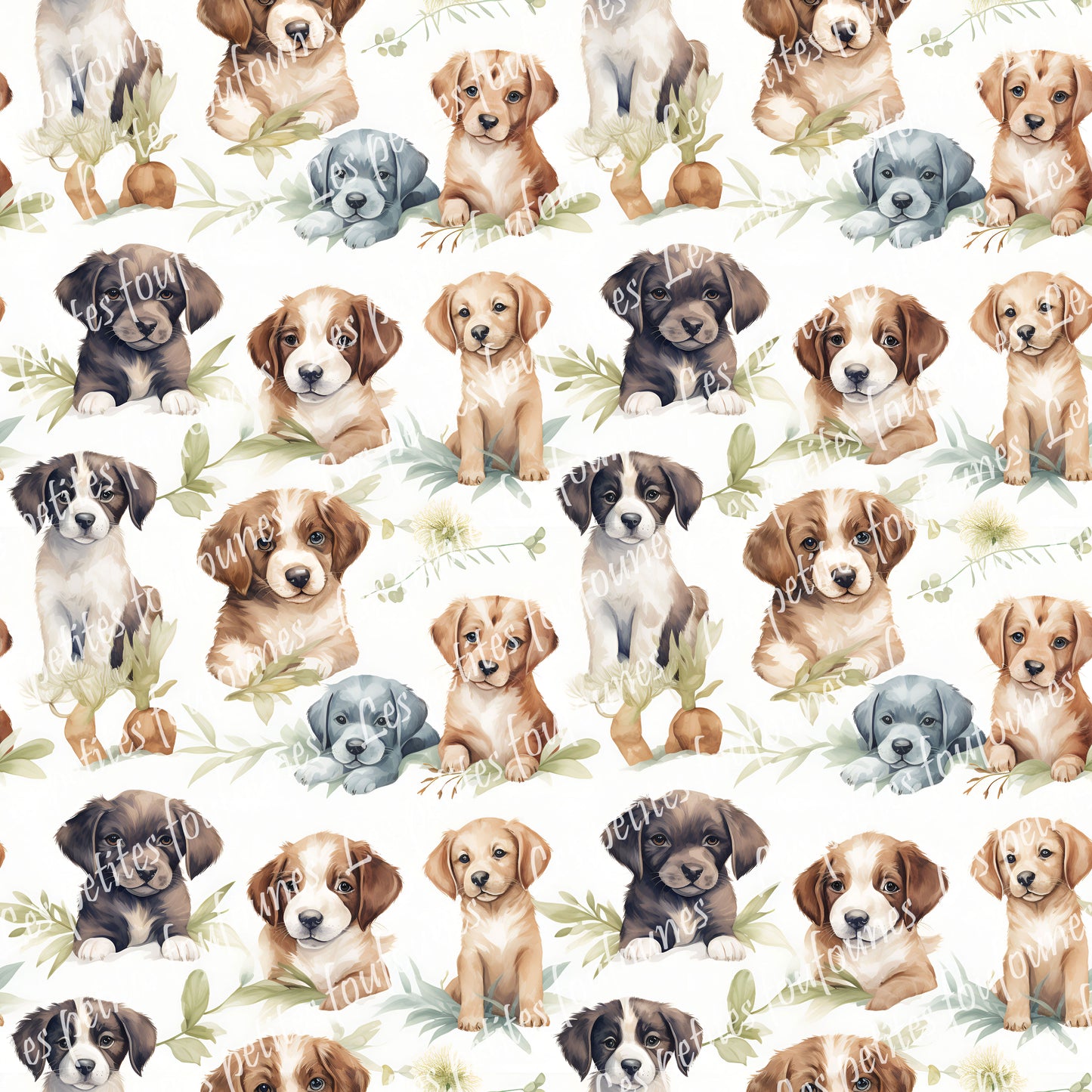 Préco Mousseline - Puppies