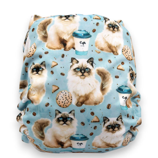 Couche - Latté Himalayen FP