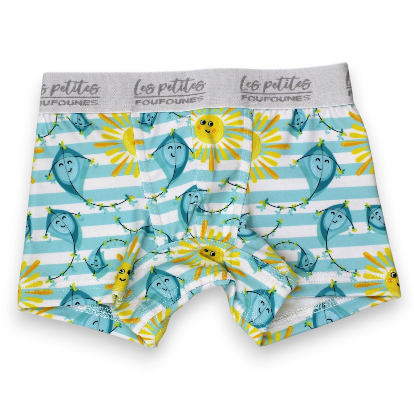 Boxer - Cerf volant ensoleillé