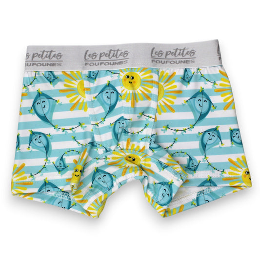 Boxer - Cerf volant ensoleillé