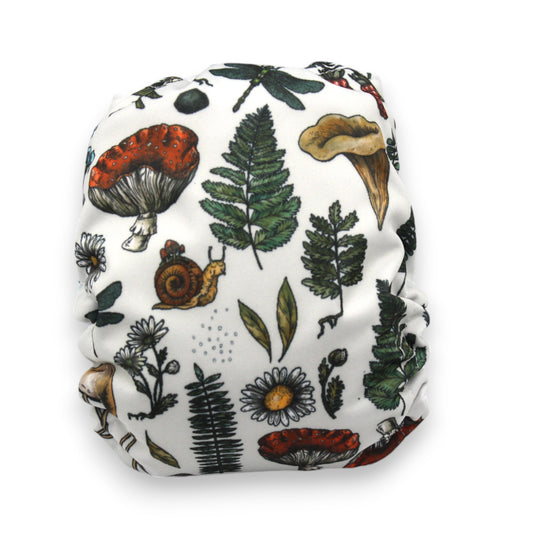 Couche - Chanterelle de jour FP