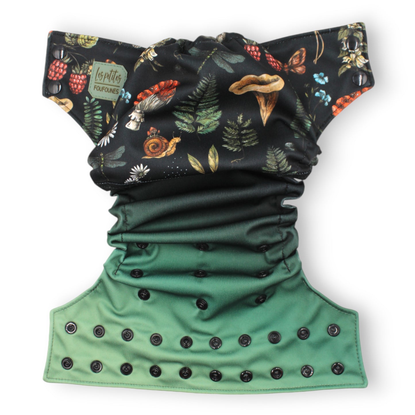 Couche - Chanterelle de nuit