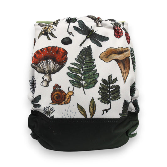 Couche - Chanterelle de jour