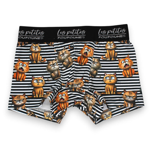 Boxer - Chat va pas PAP