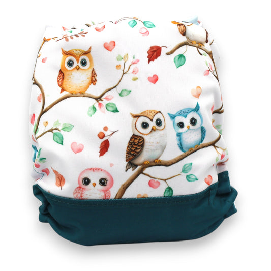 Couches - Hiboux color